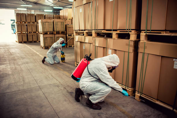 Best Local Pest Control Services  in Wheeling, WV
