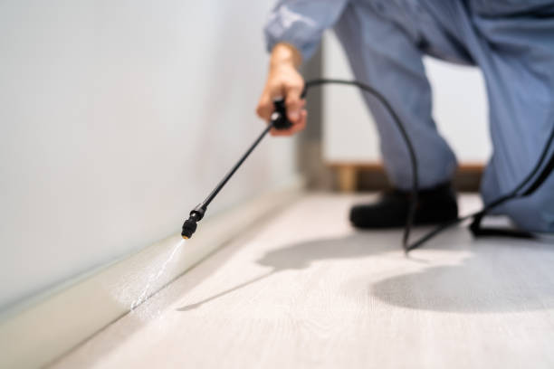 Pest Control Cost in Wheeling, WV