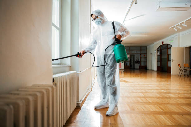 Best Wasp Removal Services  in Wheeling, WV